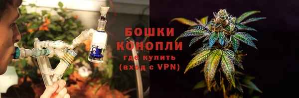 дурь Бронницы