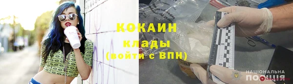 дурь Бронницы
