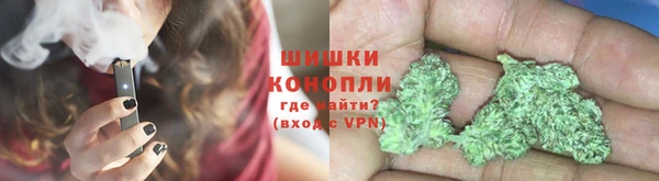 дурь Бронницы