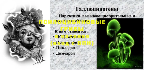 дурь Бронницы