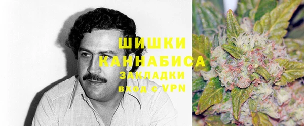 дурь Бронницы