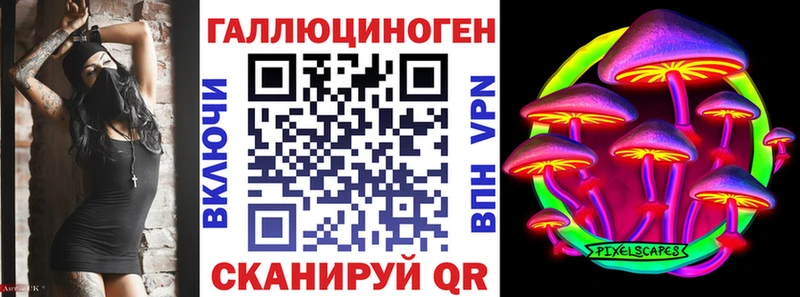 Купить где  Вольск  Галлюциногенные грибы GOLDEN TEACHER 
